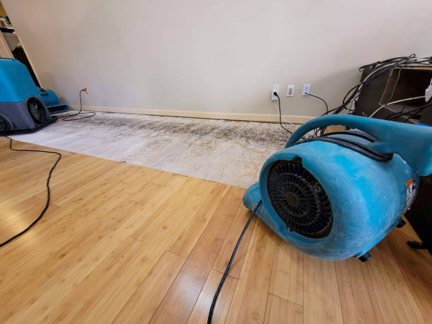 Professional Ceiling Water Damage Repair technician working in Goodman, MO